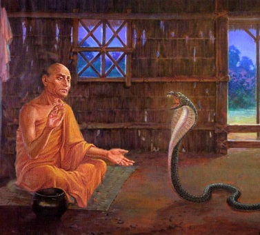 The poison of the snake (Visavanta-Jātaka)