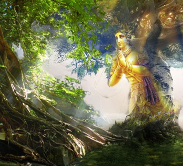 The wise tree-fairy (Rukkhadhamma-Jātaka) 