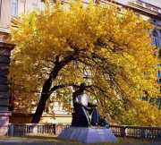 Interview with Nikola Tesla from 1899