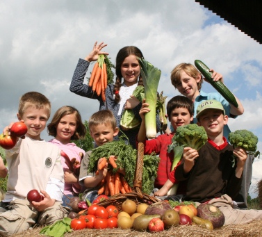 дети и вегетарианство