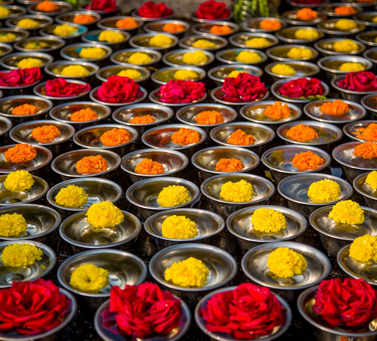 Guru Dakshina: donation for knowledge