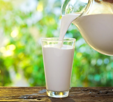 Milk protein. Use or harm for a human organism?